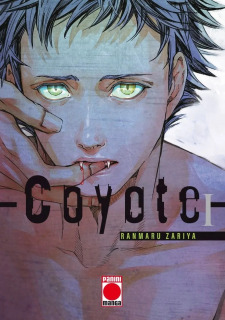 Coyote 01