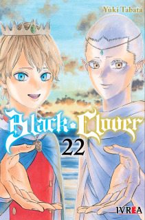 Black Clover 22