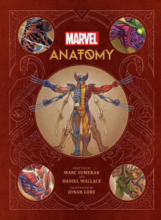 Marvel Anatomy