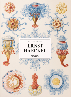 The Art and Science of Ernst Haeckel