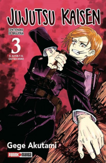 Jujutsu Kaisen 03 (Panini Argentina)