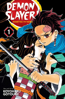 Demon Slayer: Kimetsu no Yaiba (inglés) 01