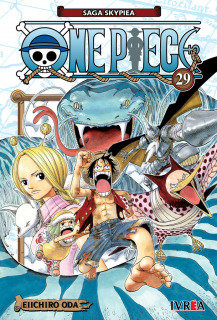 One Piece 29