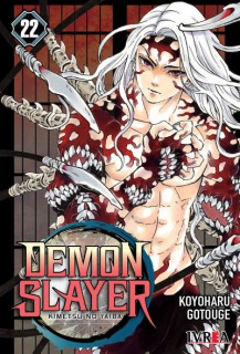 Demon Slayer 22 (Kimetsu No Yaiba)