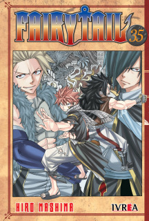 Fairy Tail 35 (Ivrea Argentina)