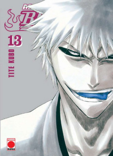 Bleach Maximum 13